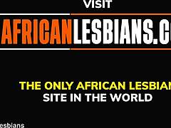 非洲美女在自制视频中被舔和手指刺激